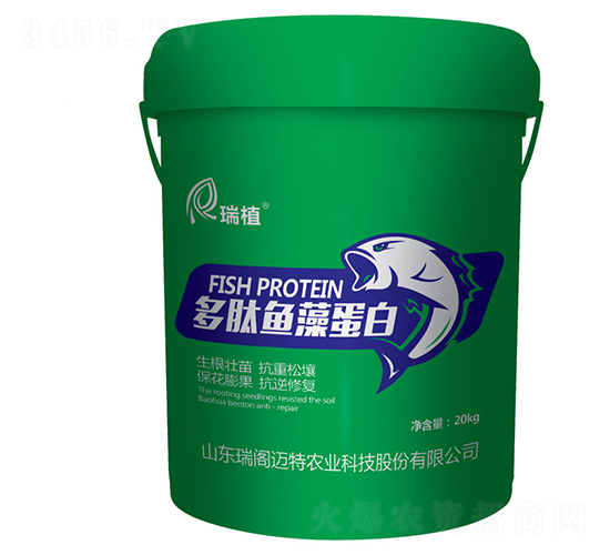 �������嵰��-��ֲ-�������