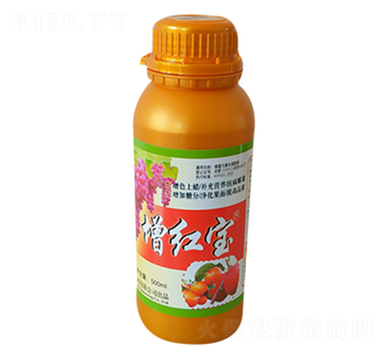 ���챦-�̶�