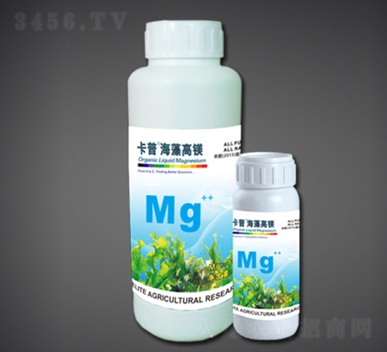 ���幦���ͷ���Mg-�̽����