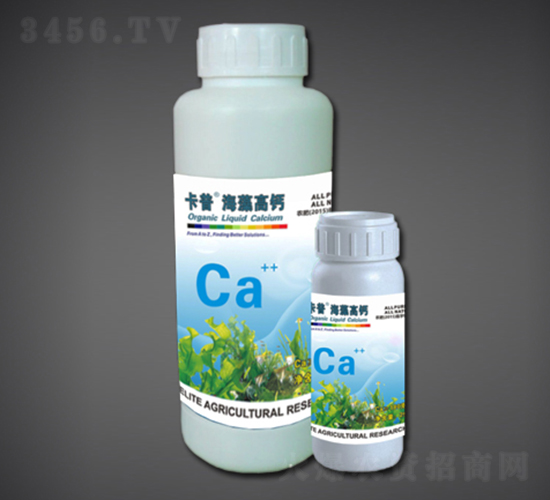 ���幦���ͷ���Ca-�̽����