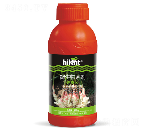 500ml΢�������-��̩��-������