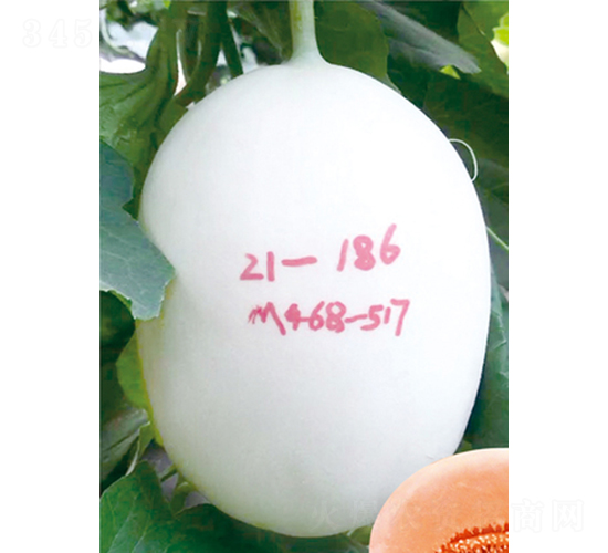 ��ʥ������10�ţ�468-517��-�������-��ʥ��