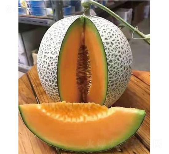 ��ʥ��M17-12-�������-��ʥ��