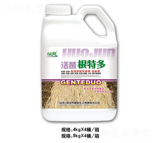 ������ض�-�̵�-��������
