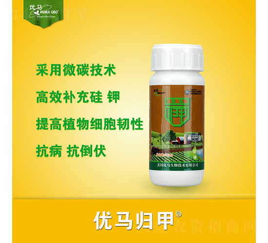�������-��������