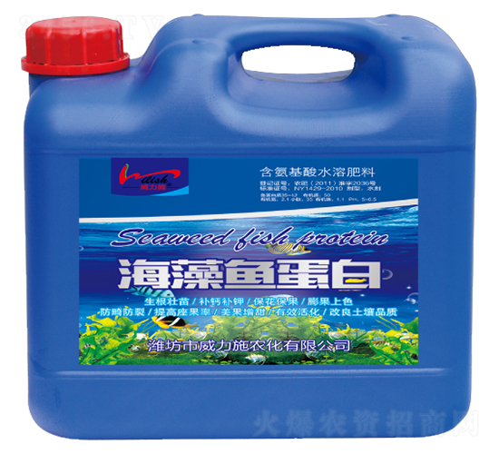 5kg�����㵰��-����ʩ