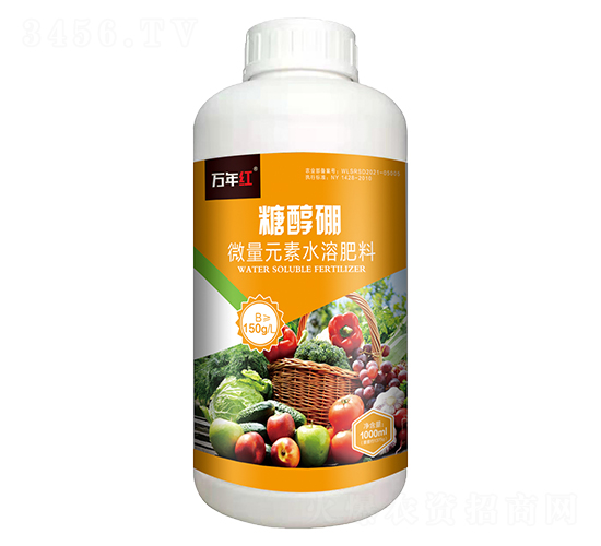1000ml�Ǵ���-�����-ŵ�Ͻ�