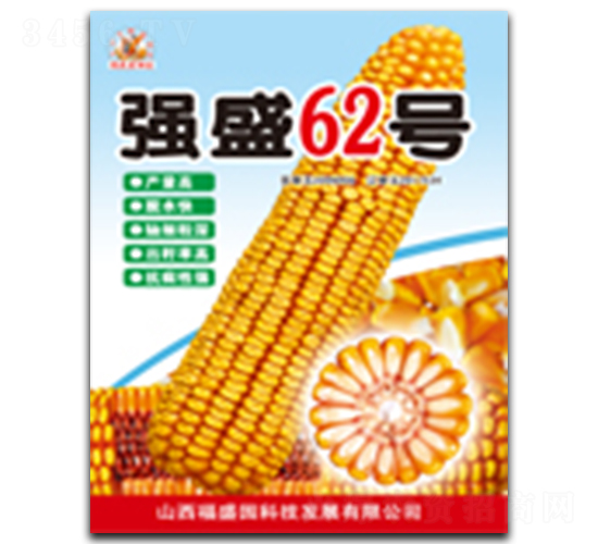 ǿʢ62��-��������-ǿʢ��ҵ