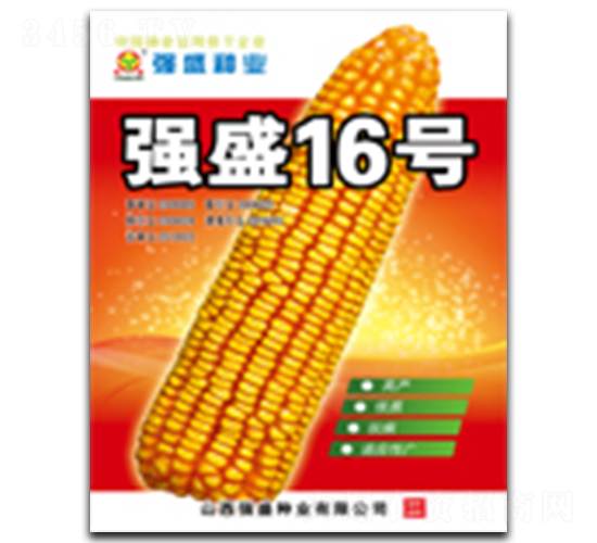 ǿʢ16��-��������-ǿʢ��ҵ