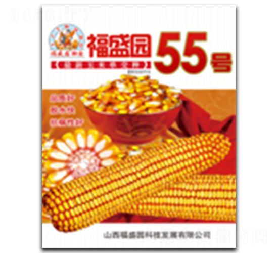 ��ʢ԰55��-��������-ǿʢ��ҵ