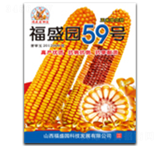 ��ʢ԰59��-��������-ǿʢ��ҵ