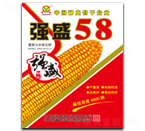 ǿʢ58��-��������-ǿʢ��ҵ