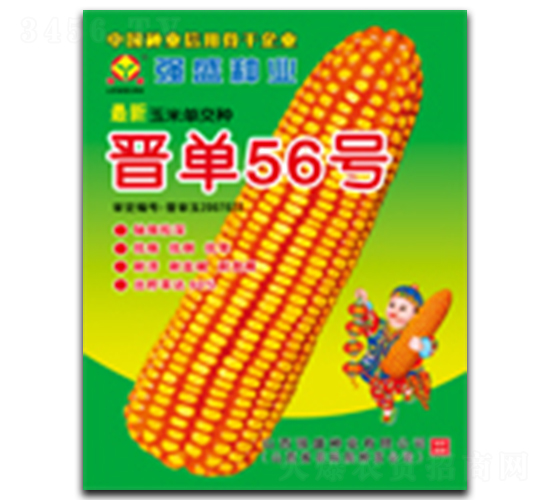 ����56��-��������-ǿʢ��ҵ