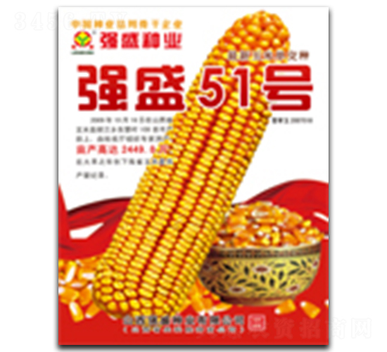 ǿʢ51��-��������-ǿʢ��ҵ