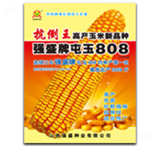 ǿʢ������808-��������-ǿʢ��ҵ
