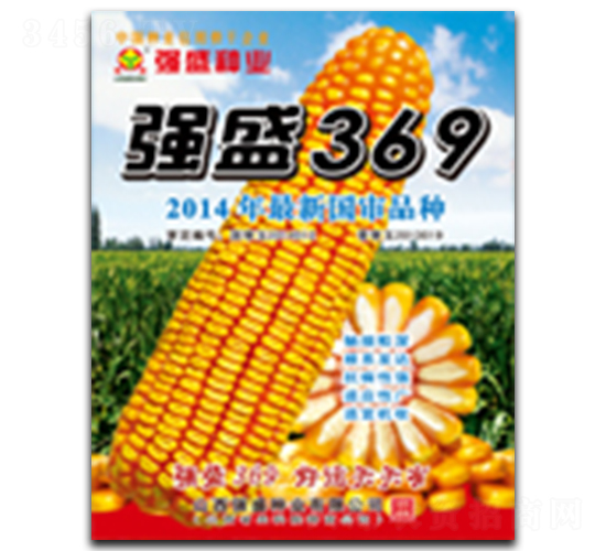 ǿʢ369-��������-ǿʢ��ҵ