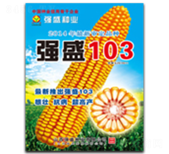 ǿʢ103-��������-ǿʢ��ҵ