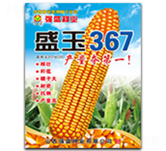 ʢ��367-��������-ǿʢ��ҵ