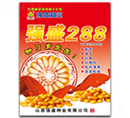 ǿʢ288-��������-ǿʢ��ҵ