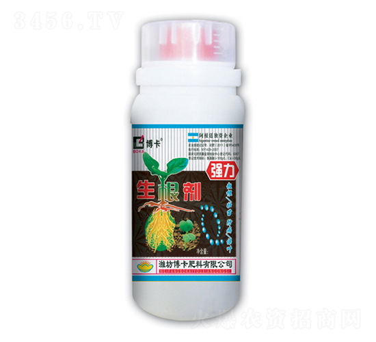 ǿ��������-����
