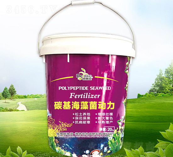 ̼�����������-��³��