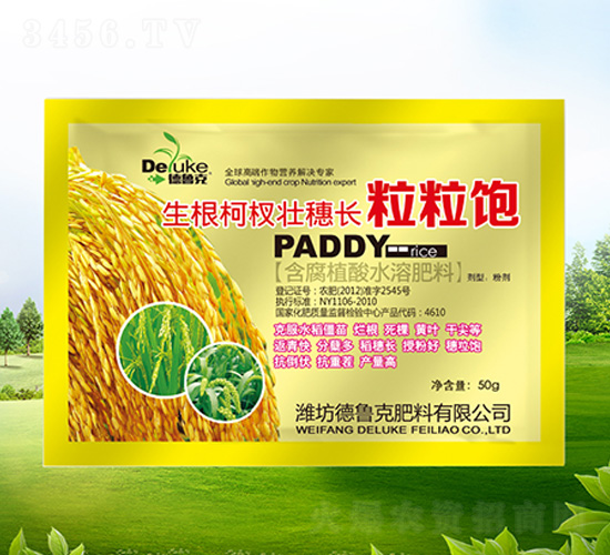 ������Ȩ׳�볤������-��³��