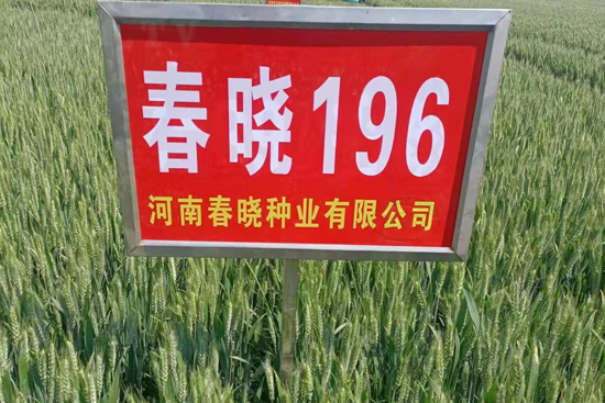 ����196-С������-������ҵ