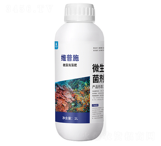 ΢�庣���-ά��ʩ-������