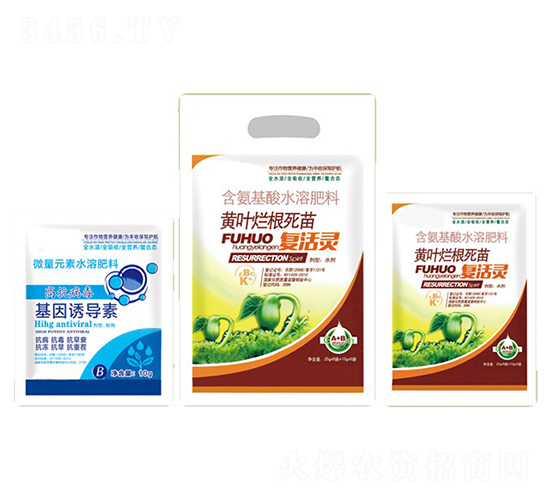 ��Ҷ�ø����縴����+�����յ���-�ֵϾ�