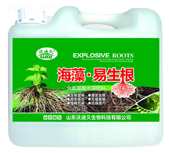 ���塤������-�ֵϾ�