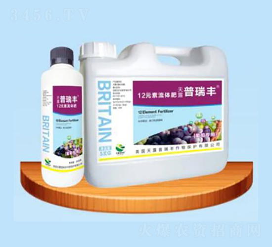 ����ר��12Ԫ�������-������ҵ