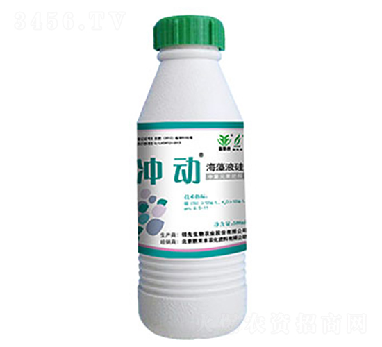 ����Һ��-�嶯-��������