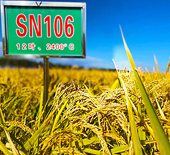 SN106-ˮ������-������ҵ