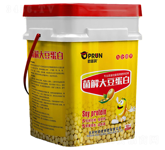ø��󶹵���-ŷ����-��ҫ����
