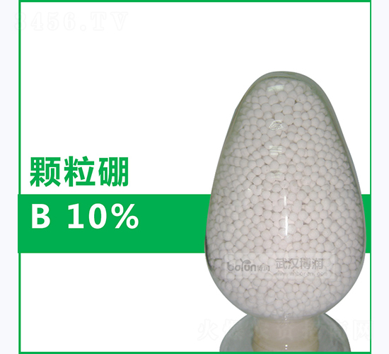10%������-����Ƽ�
