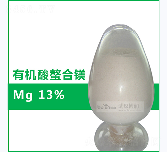 13%�л�������þ-����Ƽ�