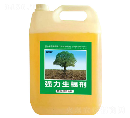 Ǥ�塤��������ǿ��������-�ֱ�ķ-˶�ַ���