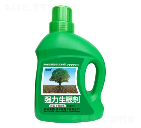 500mlǤ�塤��������ǿ��������-�ֱ�ķ-˶�ַ���