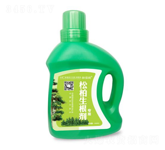 �ɰ�������-�ֱ�ķ-˶�ַ���