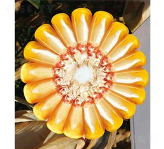 ������Q159-��������-����¡��ҵ
