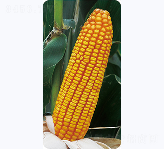 ����211-��������-������ҵ