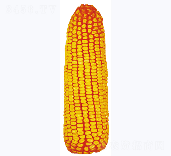 ����359-��������-������ҵ