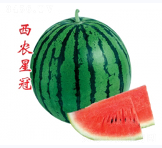 ��ũ�ǹ�-��������-�غ���ҵ
