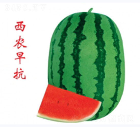 ��ũ�翹-��������-�غ���ҵ