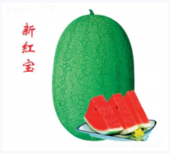 �º챦-��������-�غ���ҵ