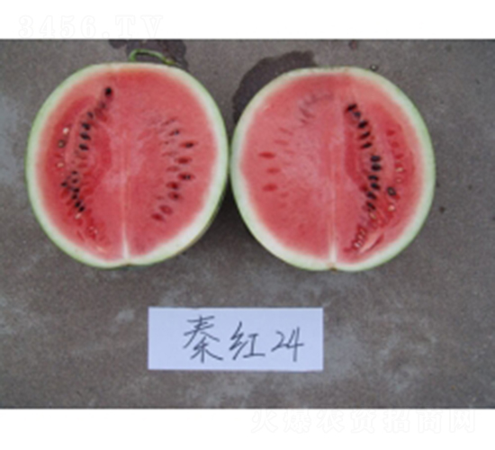 �غ�24-��������-�غ���ҵ