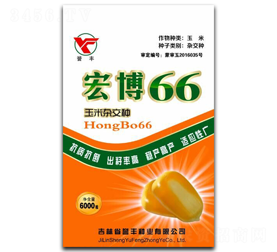 �격66-��������-������ҵ