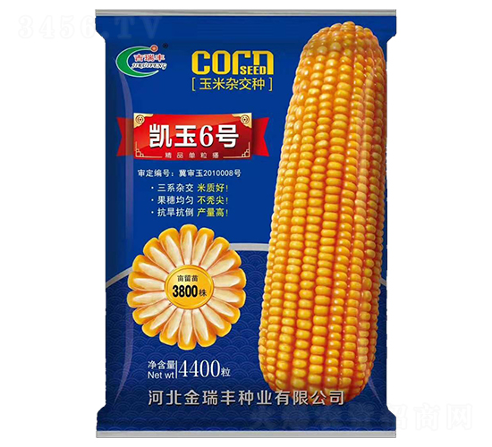 ����6��-��������-�������ҵ