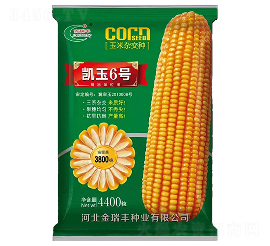 ����6�ţ��̣�-��������-�������ҵ
