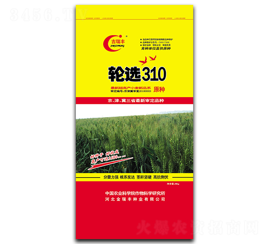 ��ѡ310-С������-�������ҵ